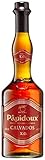 Papidoux XO Calvados - aus Äpfeln der Normandie (1 x 0,7l) - weit über sechs Jahre gereift mit eleganter Finesse und einem feinen Apfelaroma | 700 ml (1er Pack)