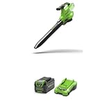 Greenworks 40V Akku Laubsauger/Laubbläser mit bürstenlosem Motor, 370 km/h, 14.17 m³/min, 45L Fangsack, Zwei 4Ah Akkus & Ladegerät, 3 Jahre Garantie