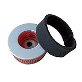 QASULER 2 Stück Luftfilteröl Luftfilter Ersatz, for YANMAR, L40 L48 L70 170F 178F Kipor Kama 114250-12580 114250-12581 Rasenmäher-Luftfilter