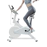 Heimtrainer für den Heimgebrauch,Indoor Cycling Stationär Bike,Fahrrad für Heimtraining,Verstellbare Sitzhöhe,vorderer und hinterer Abstand und Hebelhöhe（Weiß）