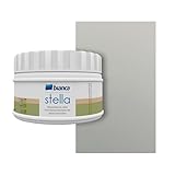 Bianca Stella Metalloptik Premium Möbelfarbe für Küche, Silber, Glänzend, 250ml, Wasserbasierter Küchenmöbellack, Metall-Effekt Acryllack für alle Oberflächen, Renovierungsfarbe für Haushaltsgeräte