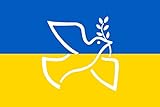 Flagge Ukraine Flagge Ukraine Farben Flagge 150 cm x 90 cm ukrainische Flagge