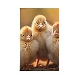 YKJJFVZ A Brood of Chickens1 Küchentücher, Waffelmuster, ultra-saugfähige Geschirrtücher, perfekte Küchenutensilien