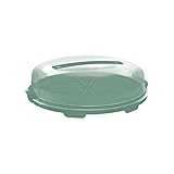 Rotho Fresh flache Tortenglocke, Kunststoff (PP) BPA-frei, türkis/transparent, (35.5 x 34.5 x 11.6 cm)