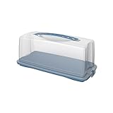 Rotho Fresh Kuchenbehälter mit Haube und Tragegriff, lebensmittelechter Kunststoff (PP) BPA-frei, blau/transparent, (36 x 16,5 x 16,5 cm)