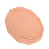 Hemobllo Sparer Für Braunen Weichmacher Aus Braunem Snacks Sparen Braune Zuckerscheibe Zuckeraufbewahrungsstein Kuchenhüter Brauner Weicher Zuckersparscheibe Ton Brown