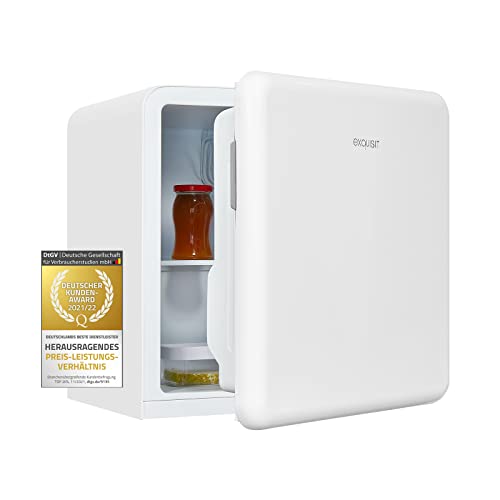 Exquisit Mini-Kühlschrank CKB45-0-031F weissPV | Mini Kühlschrank | 47 Liter Nutzinhalt | Weiß | Kompakt und platzsparend | Retrostyle | Kühlen | Türablagen