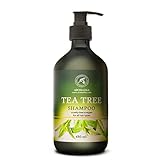 Teebaumöl Shampoo 480ml - Teebaumöl & Stachelbeeren & Rosmarin - Tiefenreinigung - Anti Dandruff & Trockene Kopfhaut für Haarwachstum und Volumen - Sulfatfreies Shampoo