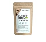 LOWER-CARB-KNÄCKEBROT Backmischung – Bio, vegan, glutenfrei, Eiweiss-Brot-Alternative, Lebensmittel ohne Getreide, lactosefrei, keto, Organic Workou (1er, kernig)