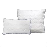 Waidmeister Topcool Kopfkissen 40x80 und 80x80 cm, Qualitäts-Stepp-Kissen, atmungsaktives Allergiker Kissen, Winter- und Sommer-Kissen, Made in Germany (2, 80x80cm)