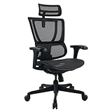 hjh OFFICE Bürostuhl ergonomisch ERGOHUMAN Slim ECO M GEN2 Originales Design, Bürosessel mit Flexibler Lendenwirbelstütze, Netzbespannung, Schwarz