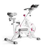 Indoor-Radfahren, Heimtrainingszyklus, leiser Trainingszyklus, mit Pad-Halterung, Heimtrainer mit 120 kg Tragkraft für Fitnessstudios, Clubs, H