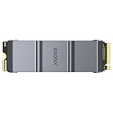 iDsonix NVMe SSD M.2 1TB für PS5 Speichererweiterung, PCIe Gen4 Gaming Solid State Drive mit Kühlkörper, bis zu 7450 MB/s, interne SSD kompatibel mit Playstation 5 und Playstation 5 PRO-IS5