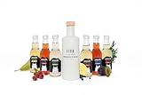 GIN FIOR Geschenkset - Premium Gin aus Österreich mit 6 Flaschen Tonic Water, Handgefertigte Flasche - Ideal für Tastings, Geschenke, Partys, Dates