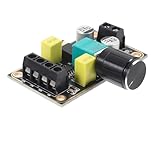 SHINEOFI Digital Audio Verstärkermodul für Diy Lautsprecher Hochleistungsfähiges Audioverstärkungsboard Effizienz und Geringer Leistungsaufnahme für Dynamisches Klangerlebnis