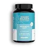 vitaoutlet | Wasser Balance | Bio Brennnessel Kapseln | Vegan | 120 Kapseln für 60 Tage | 2 kleine Kapseln täglich | Hochdosiert | Entwässerungskapseln