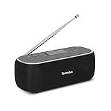 TechniSat VIOLA BT 1 - tragbarer Bluetooth-Lautsprecher mit DAB+ Digitalradio (UKW, DAB, Uhr, Wecktimer, Favoritenspeicher, LCD, Freisprechfunktion, AUX-in, Akku, USB-C ladekabel, 6W) schwarz/grau