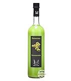 Villa Laviosa: Panna e Pistacchio Pistazienlikör / 17% Vol. / 0,7 Liter-Flasche