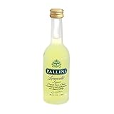 Pallini Limoncello Zitronenlikör Miniatur – 5cl Einzelflasche