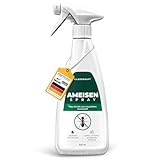 Silberkraft Ameisenspray 500 ml, zuverlässig Ameisen bekämpfen, Anti- Ameisenmittel, Sofort- und Langzeitwirkung, wirksame Alternative zu Ameisengift & Ameisenköder
