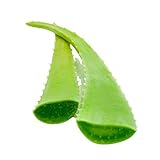 Vonderweid - Aloe Vera-Blätter aus sizilianischem Anbau im offenen Himmel | Hochwertige Blätter zur Herstellung von Aloe-Vera-Gel und Aloe-Saft | Reines Aloe-Vera-Gel zur Beruhigung der Haut | 4 kg