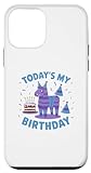Hülle für iPhone 12 mini Todays My Birthday Lama, Junge, Familienparty-Dekorationen