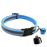 Mini GPS Tracker für Katzen – Echtzeit-Ortung weltweit – Kompatibel mit iOS & Android – Ohne ABO – Für jedes Halsband geeignet