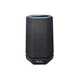 Teufel HOLIST S HiFi Smart Speaker Bluetooth WLAN Lautsprecher mit Sprachsteuerung 360-Grad-Sound Dank Dynamore® Schwarz