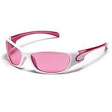 NOURIS Sonnenbrille, Y2K Sonnenbrille Damen Herren 2022 Luxus Steampunk Schutzbrille Coole Herren Gothic Outdoor Sports-C05 Grau(C04 Pink)