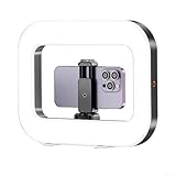 Niceminiwall Tragbares LED-Ringlicht, YM200 Handheld-Beauty-Fotografie-Fülllicht, zweifarbige Temperatur einstellbar, geeignet für Smartphone-Videoaufnahmen