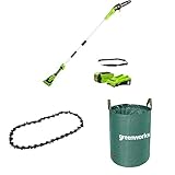 Greenworks Akku Hochentaster,20 cm Blattlänge, 8 m/s Kettengeschwindigkeit, 40V 2Ah Akku & Ladegerät + Greenworks 40cm Sägekette + Greenworks 120l Gartenabfallsack