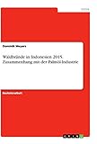 Waldbrände in Indonesien 2015. Zusammenhang mit der Palmöl-Industrie