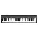 Roland FP-30X Digital Piano, Das extrem beliebte tragbare Piano – Überarbeitet (schwarz)