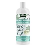 AniForte Aloe Vera Welpenshampoo für Hunde 200ml - Hundeshampoo mild & parfümfrei, Welpen Shampoo für Junghunde & empfindliche Hunde, für glänzendes & leicht kämmbares Fell