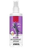 Katzenabwehrspray, Natürlich Effektiv Hundeabwehrspray, Kratzschutz Katze Hund Katzenschreck Anti Katzen Spray für Innen und AuBen