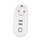 FIXOSHEE Wlan Steckdose mit Dual USB Langlebige Smarte Steckdose für Zuhause Fernsteuerung per Kompatibel mit Praktisches Outlet für Power Management