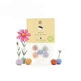 Nachhaltiges Geburtstagsgeschenk: 5 bunte Blumenmurmeln | Farbenfrohe Seedbombs mit Wildblumensaatgut | Geschenkidee und tolle Überraschung zum Geburtstag | 100% ökologisch und mind. 2 Jahre haltbar