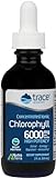 Trace Minerals | Konzentriertes ionisches Chlorophyll | Unterstützt die Immunfunktion | Antioxidans | Unterstützt Blut & Energie | Minzgeschmack (59 ml) - 6000 mg/Flasche