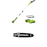 Greenworks Akku Hochentaster, 20 cm Blattlänge, 8 m/s Kettengeschwindigkeit, 40V 2Ah Akku & Ladegerät+ Greenworks 20cm Führungsschiene für Kettensäge