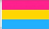LGBTQ+ Pride Pansexual Flagge, klein, hochwertig, 90 x 60 cm