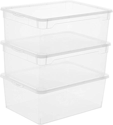 Rotho Clear 3er-Set Aufbewahrungsbox 10l mit Deckel, Kunststoff (PP) BPA-frei, transparent, 3 x 10l (36,0 x 26,0 x 14,0 cm)