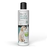 ReaVET Welpenshampoo Aloe Vera 250ml – extra mild für Hunde Welpen I Hundeshampoo, Shampoo für Hunde - glänzendes & leicht kämmbares Fell, Parfumfrei, Hundeshampoo Sensitiv