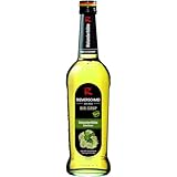 Riemerschmid Bar-Sirup Holunderblüte (1 x 0.7 l)