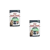 Royal Canin Digest Sensitive Nassfutter | Doppelpack | 2 x 12 x 85g | Alleinfuttermittel für ausgewachsene Katzen | Kann dabei helfen zur Reduzierung von Stuhlgeruch beizutragen