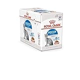 ROYAL CANIN Indoor Sterilized - Wet Food for Adult Cats - Chunks in Sauce 12x85 g