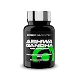 Scitec Nutrition Ashwagandha | Ashwagandha-Wurzelextrakt | zur Unterstützung des Immunsystems und eines optimalen Stresslevels, 60 Kapseln