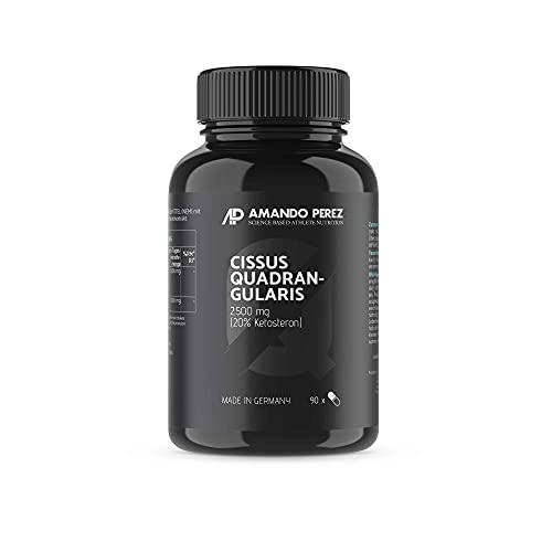 Cissus Quadrangularis Extrakt 2500 mg • 90 vegane Kapseln • Liefert 20% Ketosterone • Hochdosiert • Made in Germany • Natürlich, aktiviert und mikronisiert