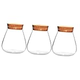 HEMOTON 3 Stck Transparente Glasvase mit Korkverschluss DIY Sukkulenten Pflanzgefäß Dekoratives Terrarium Flaschengarten für Tisch Fenster und Gartendekoration für Bastelfans