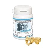 Alfavet OmegaDuoPlus 500 mg | 60 Kapseln | Ergänzungsfuttermittel für Hunde und Katzen | Zur Unterstützung von Zellfunktion, Hautstoffwechsel und Immunfunktion | Mit EPA & DHA