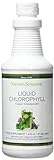 Liquid Chlorophyll with Natural Spearmint oil (473 ml)